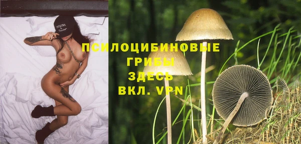 меф Корсаков