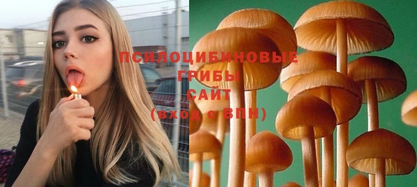 ПСИЛОЦИБИНОВЫЕ ГРИБЫ Коряжма
